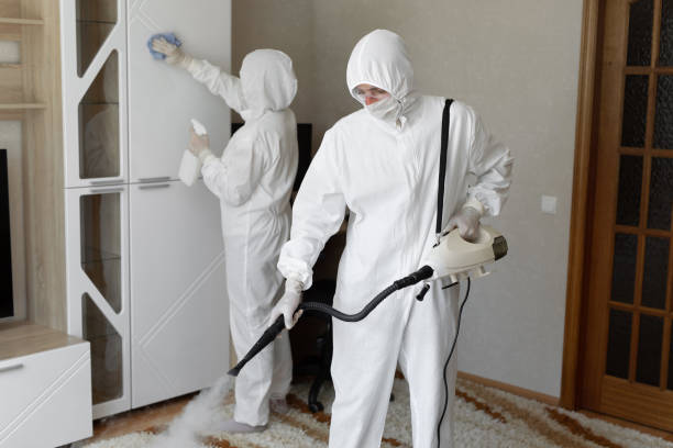 Mold Testing and Removal in South Bend, IN