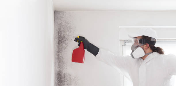 Mold Removal and Inspection in South Bend, IN